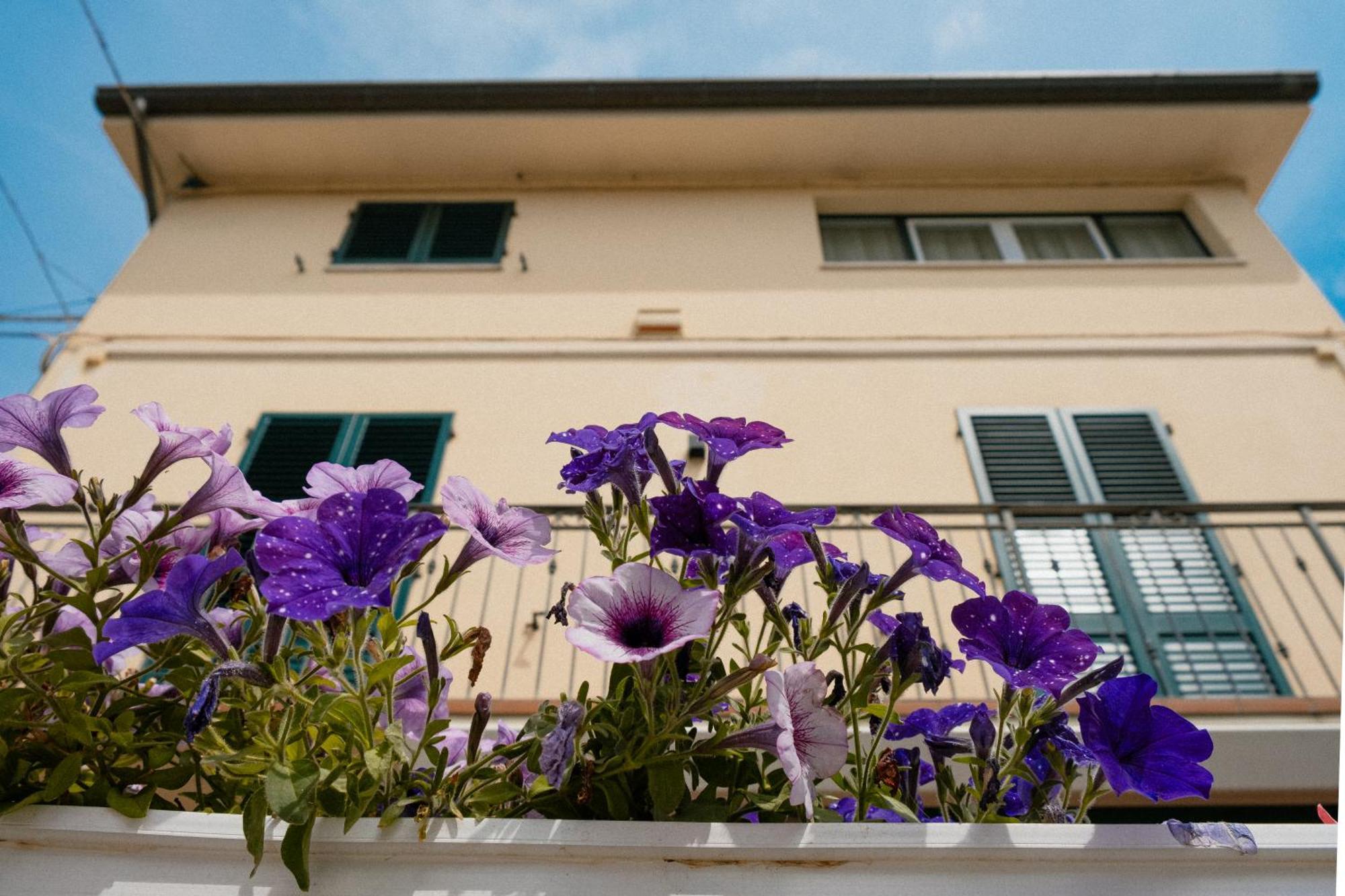 Hotel Residenza Nonno Mella Porto SantʼElpidio Exteriér fotografie